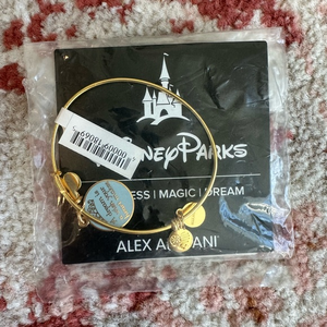 Disney Alex and Ani Cinderella A Dream‎ is a Wish Your Heart Makes GOLD Bracelet